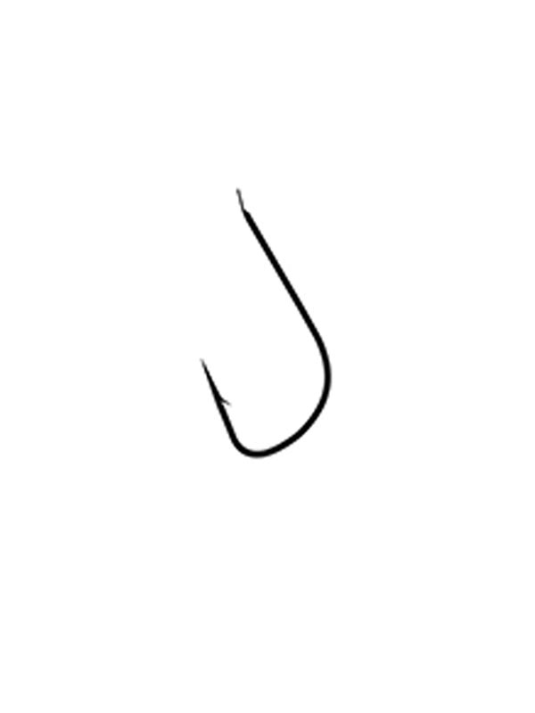 Text