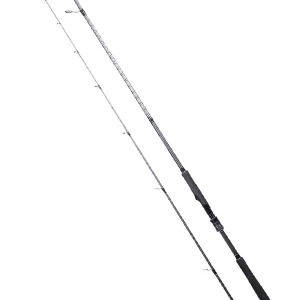 Ryuji Ares X 270Cm 9 45Gr  2P Spin Karbon Kamış